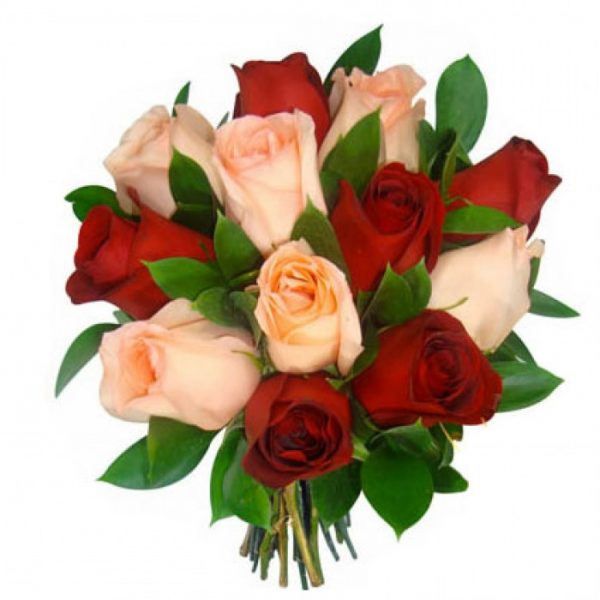 Elegante de Rosas