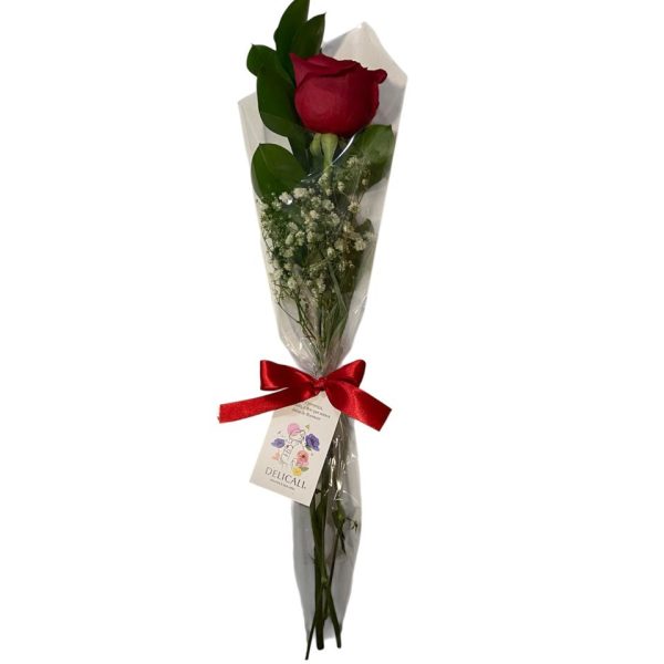 Rosa decorada vermelha