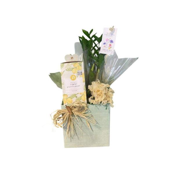 Arranjo aconchego de mãe