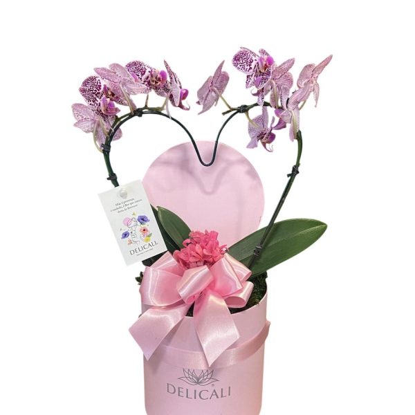 Box orquídea coração